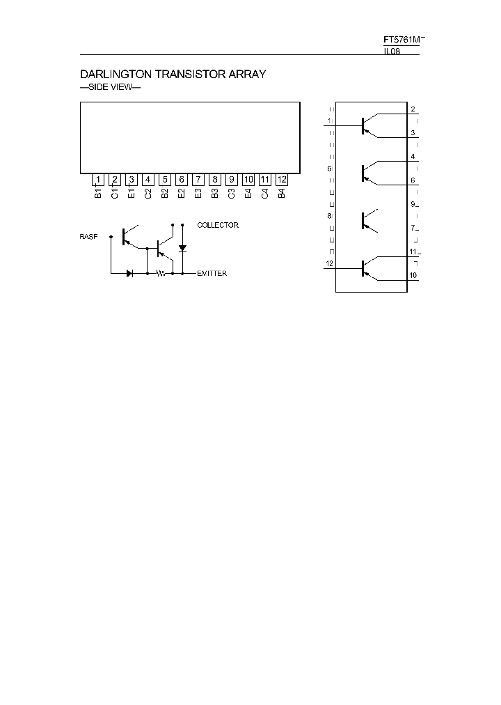 FT5761M_425031.PDF Datasheet